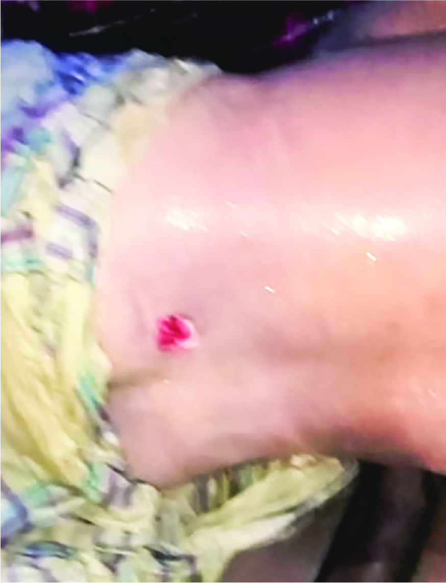 Image of রিয়াজুল তালুকদার